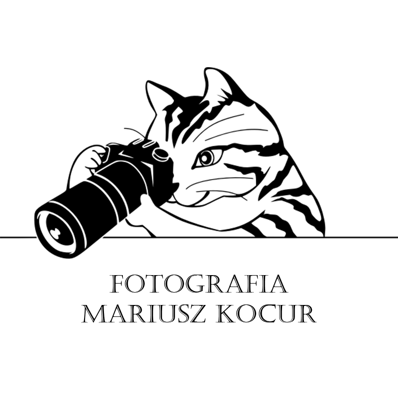 Fotografia Mariusz Kocur | Fotografia Ślubna Bielsko-Biała | Fotograf ślubny